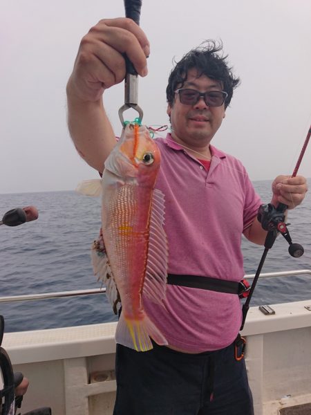 ARCADIAⅡ (アルカディアⅡ) 釣果