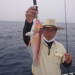 ARCADIAⅡ (アルカディアⅡ) 釣果