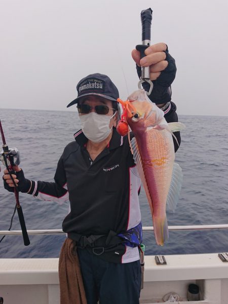 ARCADIAⅡ (アルカディアⅡ) 釣果