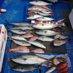 清和丸 釣果