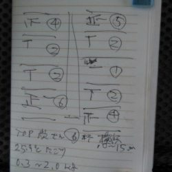 金沢八景鴨下丸 釣果