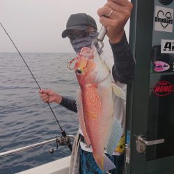 ARCADIAⅡ (アルカディアⅡ) 釣果