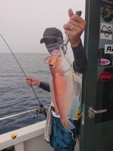 ARCADIAⅡ (アルカディアⅡ) 釣果