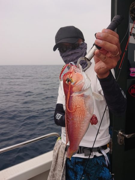 ARCADIAⅡ (アルカディアⅡ) 釣果