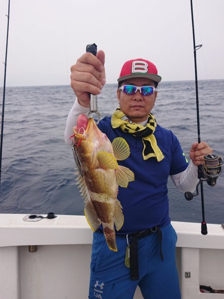 ARCADIAⅡ (アルカディアⅡ) 釣果