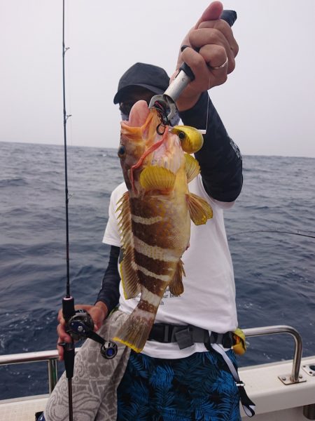 ARCADIAⅡ (アルカディアⅡ) 釣果