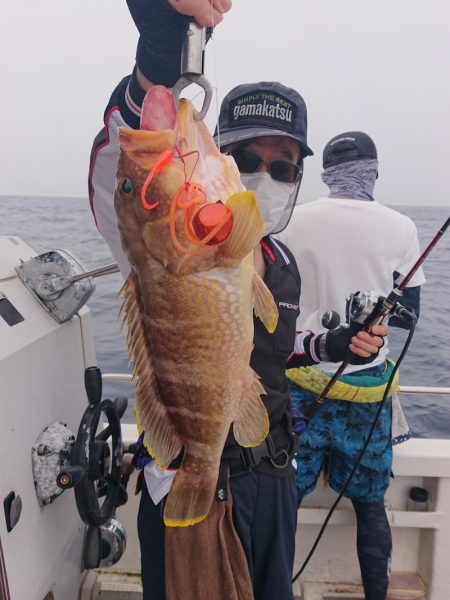 ARCADIAⅡ (アルカディアⅡ) 釣果