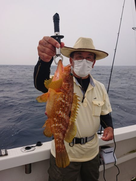 ARCADIAⅡ (アルカディアⅡ) 釣果