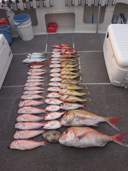 ARCADIAⅡ (アルカディアⅡ) 釣果