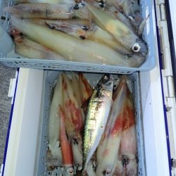 第二龍勢丸 釣果