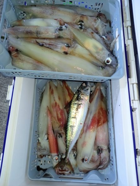 第二龍勢丸 釣果