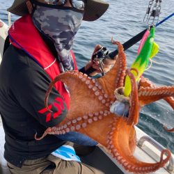 Ｖ−７ West 釣果