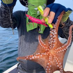 Ｖ−７ West 釣果