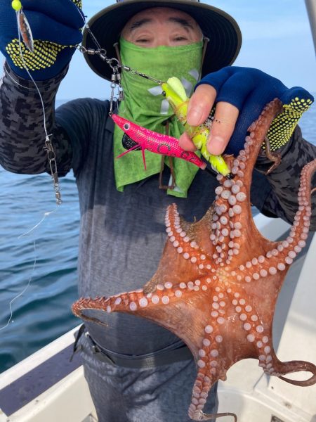 Ｖ−７ West 釣果