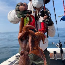 Ｖ−７ West 釣果