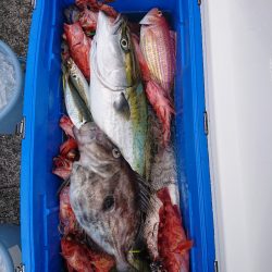 エンペラー 釣果