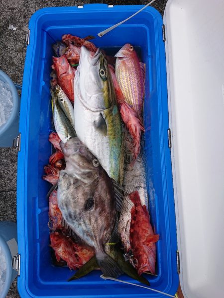 エンペラー 釣果