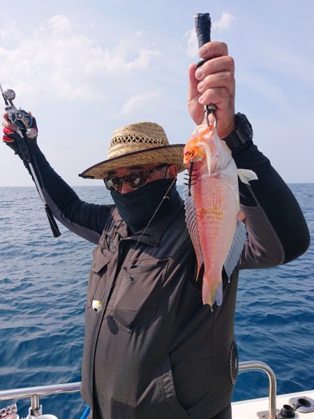 ARCADIAⅡ (アルカディアⅡ) 釣果