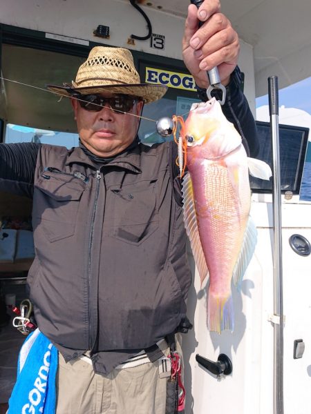 ARCADIAⅡ (アルカディアⅡ) 釣果