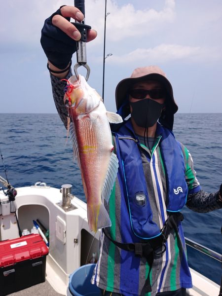 ARCADIAⅡ (アルカディアⅡ) 釣果