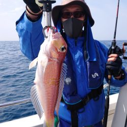 ARCADIAⅡ (アルカディアⅡ) 釣果