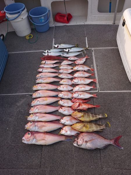 ARCADIAⅡ （アルカディアⅡ） 釣果…