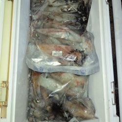 第二龍勢丸 釣果