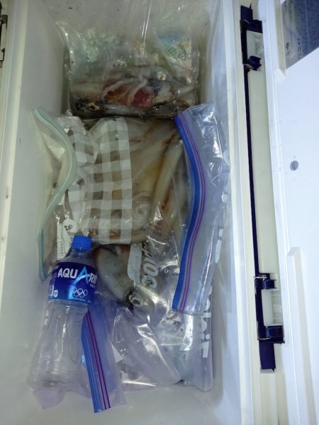 第二龍勢丸 釣果