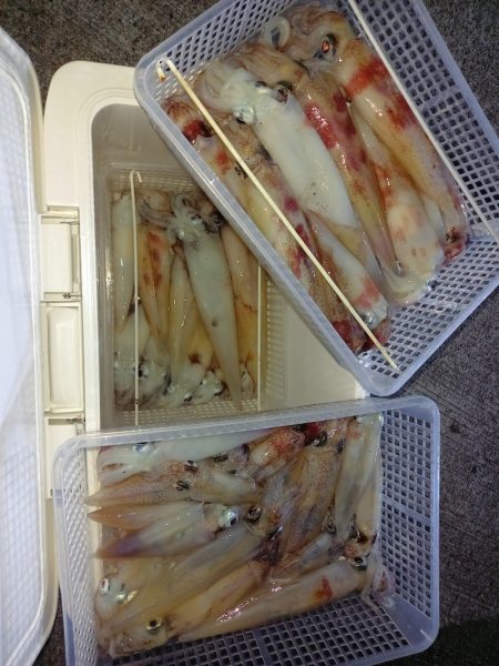 第二龍勢丸 釣果