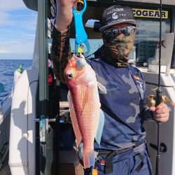 ARCADIAⅡ (アルカディアⅡ) 釣果