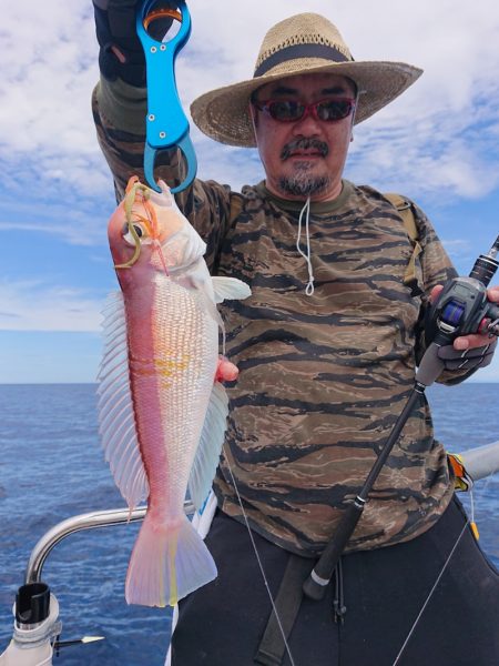 ARCADIAⅡ (アルカディアⅡ) 釣果