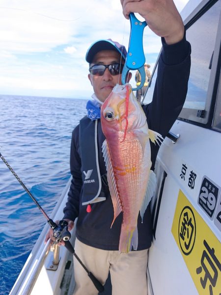 ARCADIAⅡ (アルカディアⅡ) 釣果