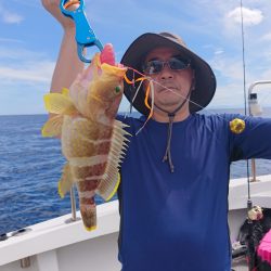 ARCADIAⅡ (アルカディアⅡ) 釣果