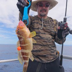 ARCADIAⅡ (アルカディアⅡ) 釣果