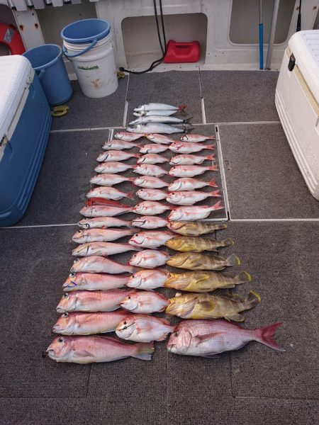 ARCADIAⅡ (アルカディアⅡ) 釣果