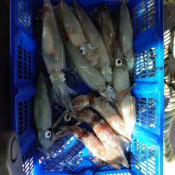 海龍丸（石川） 釣果