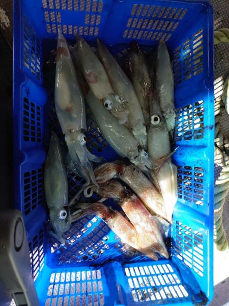 海龍丸（石川） 釣果