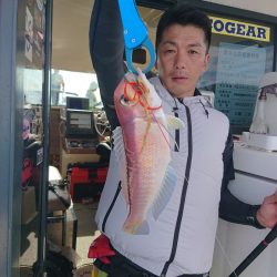 ARCADIAⅡ （アルカディアⅡ） 釣果