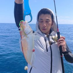 ARCADIAⅡ （アルカディアⅡ） 釣果