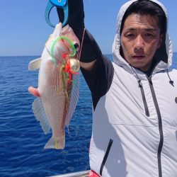 ARCADIAⅡ （アルカディアⅡ） 釣果