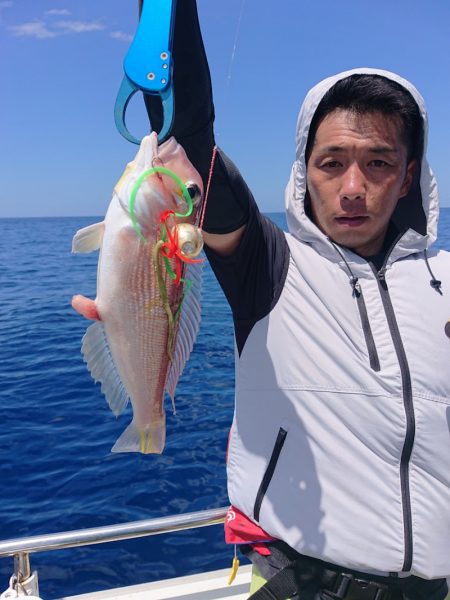 ARCADIAⅡ （アルカディアⅡ） 釣果