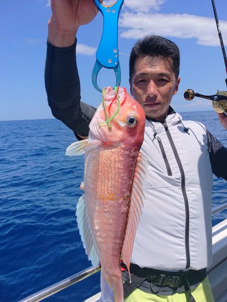 ARCADIAⅡ （アルカディアⅡ） 釣果