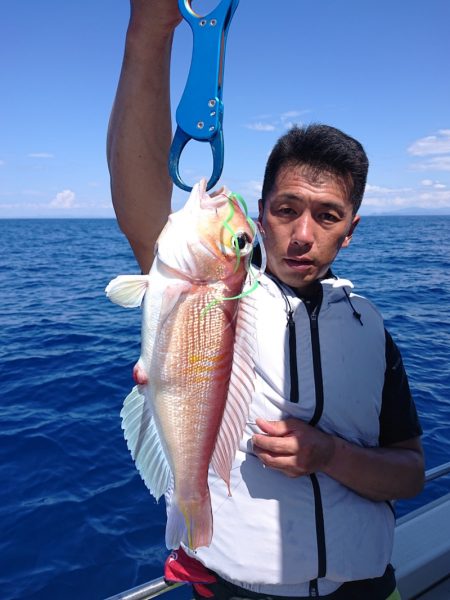 ARCADIAⅡ （アルカディアⅡ） 釣果