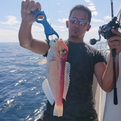 ARCADIAⅡ （アルカディアⅡ） 釣果