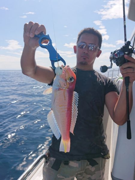 ARCADIAⅡ （アルカディアⅡ） 釣果