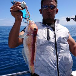 ARCADIAⅡ （アルカディアⅡ） 釣果