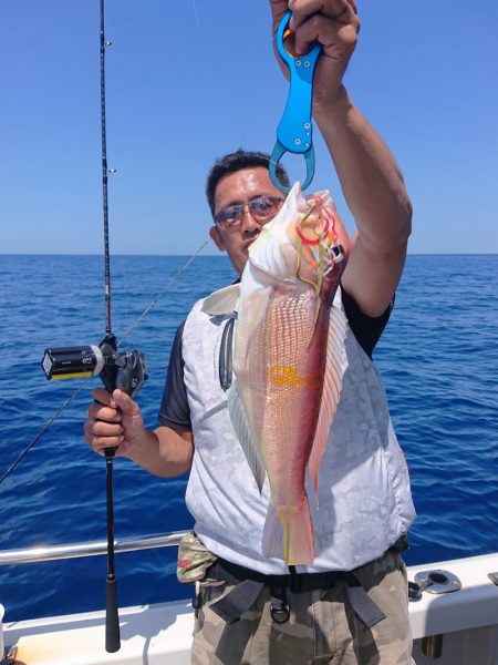 ARCADIAⅡ （アルカディアⅡ） 釣果