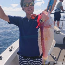 ARCADIAⅡ （アルカディアⅡ） 釣果