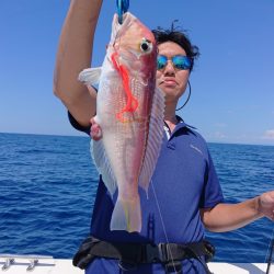 ARCADIAⅡ （アルカディアⅡ） 釣果