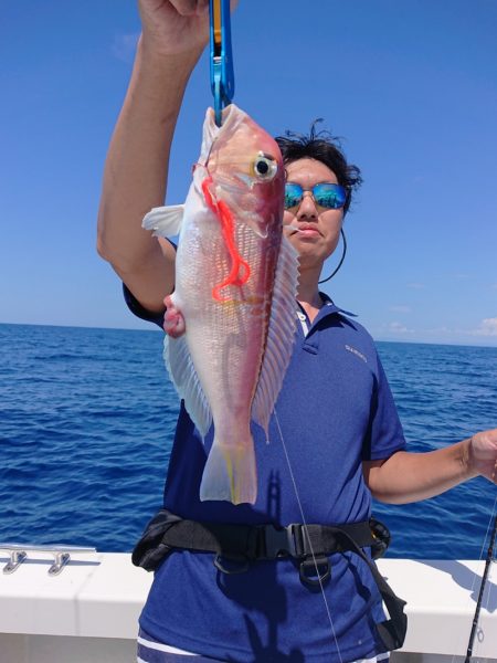 ARCADIAⅡ （アルカディアⅡ） 釣果